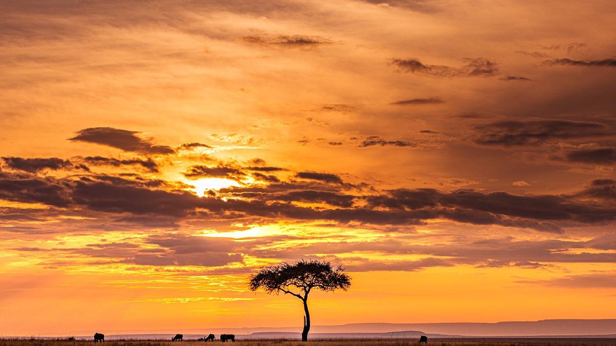 【振り返り】2024年は忍耐の年だった