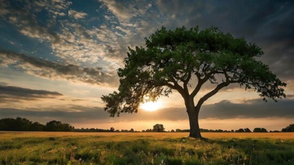 【お久しぶりです】近況報告と今後の展望